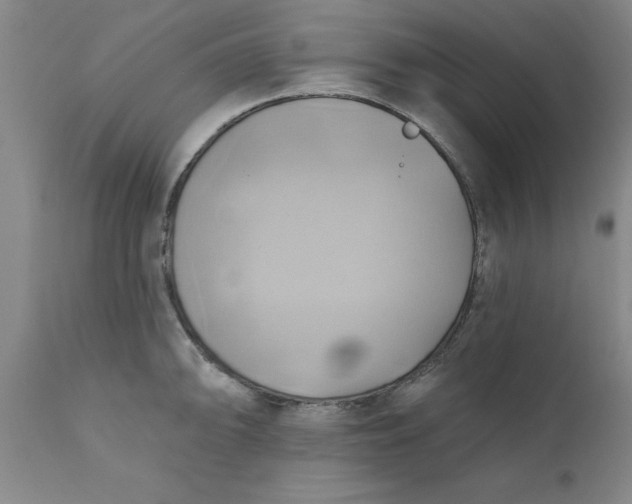 X0000110681094200906261315