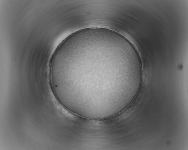 X0000110681096200906261315