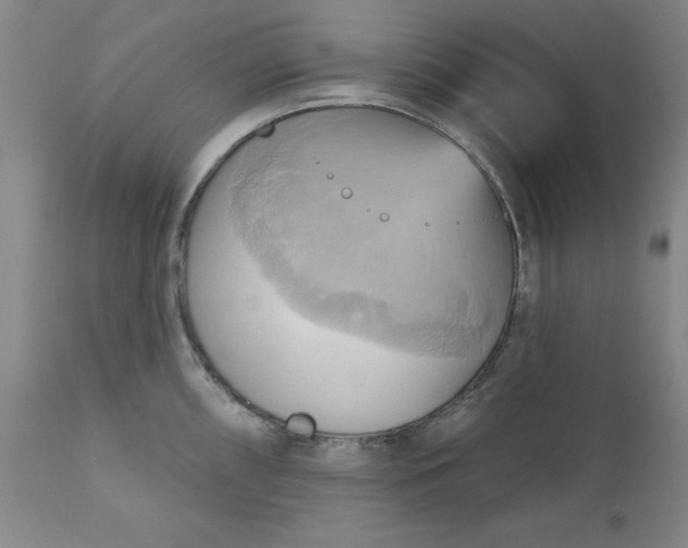 X0000110681098200906261315