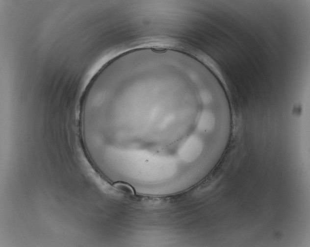 X0000110681099200906261315