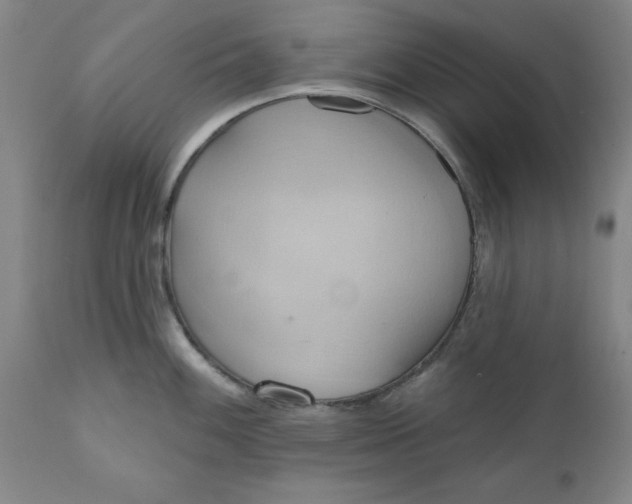 X0000110681100200906261315