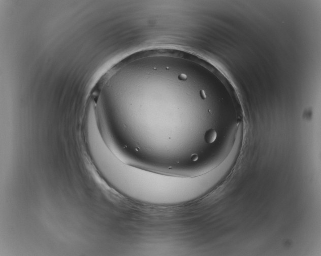 X0000110681101200906261315