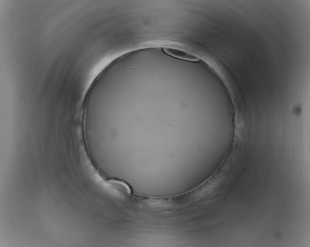 X0000110681102200906261315