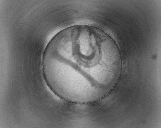 X0000110681103200906261315