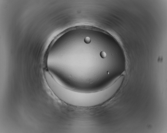 X0000110681104200906261315