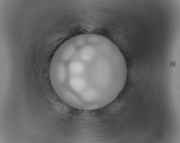 X0000110681105200906261314