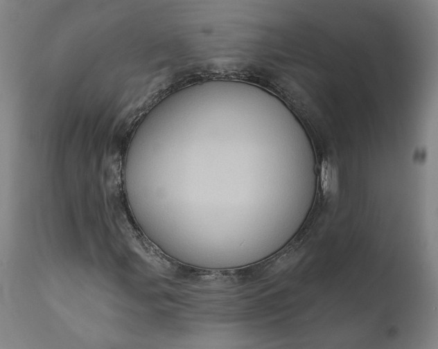 X0000110681107200906261314