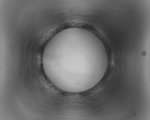 X0000110681108200906261314