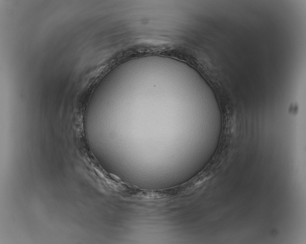 X0000110681109200906261314