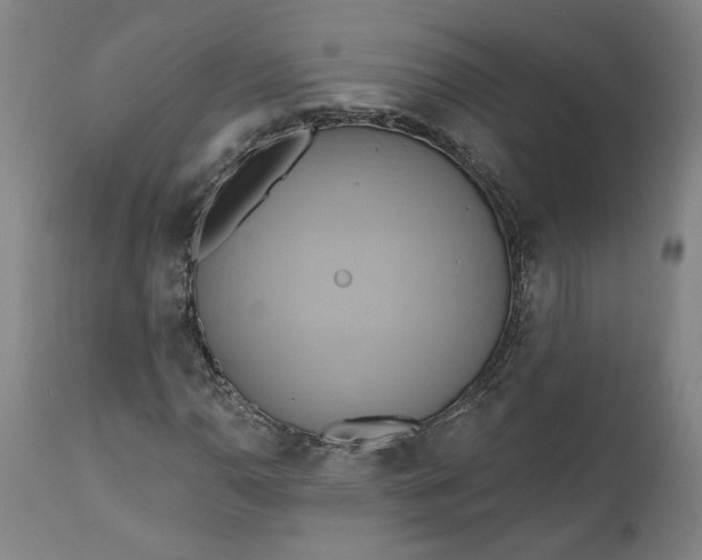 X0000110681110200906261314