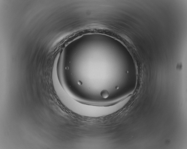 X0000110681112200906261314