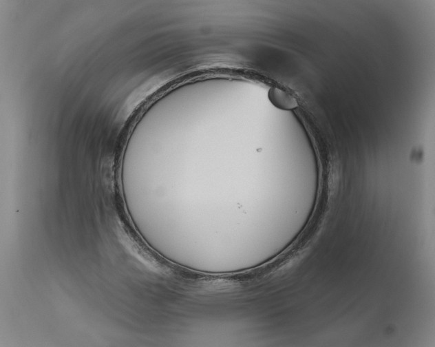 X0000110681113200906261314