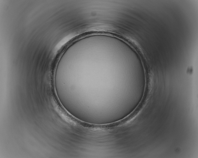 X0000110681114200906261314