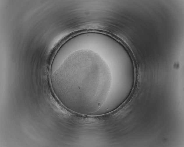 X0000110681115200906261314