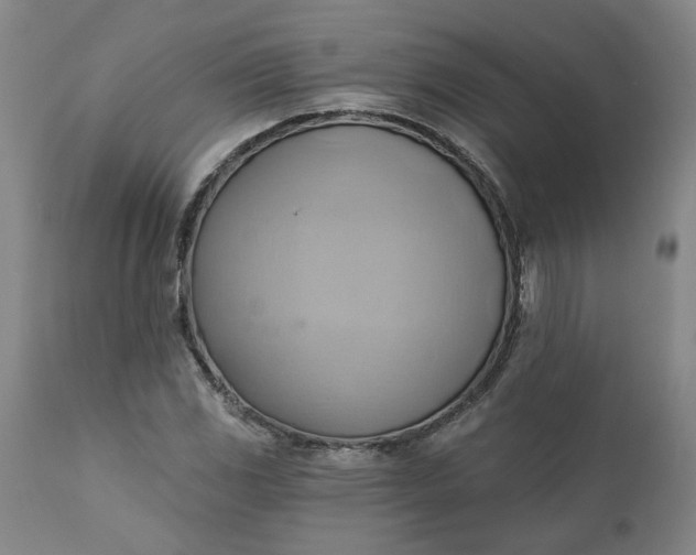 X0000110681117200906261314