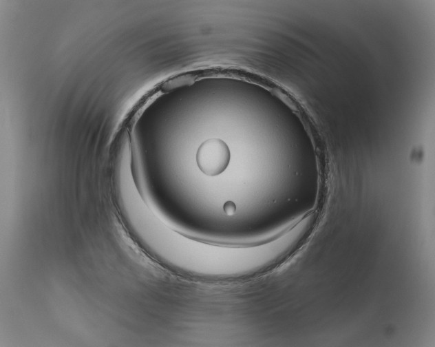 X0000110681118200906261315