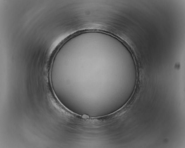 X0000110681120200906261315