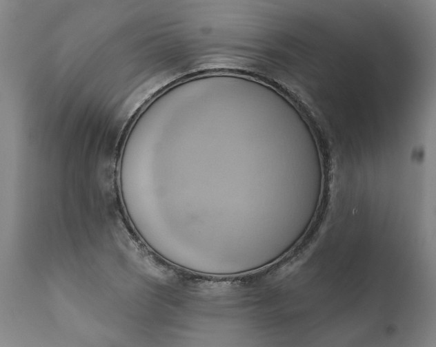 X0000110681121200906261315