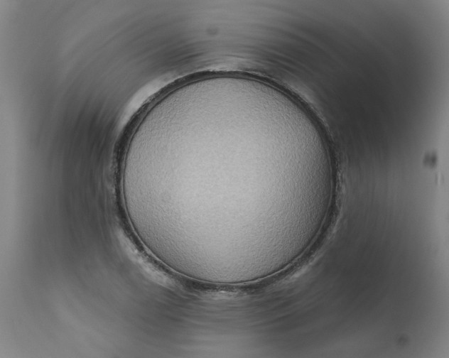 X0000110681122200906261315