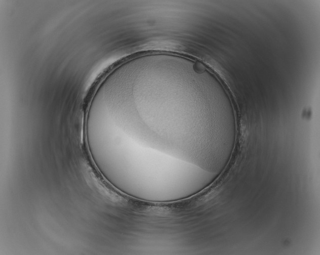 X0000110681123200906261315