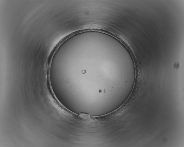 X0000110681124200906261315