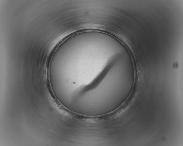 X0000110681125200906261315