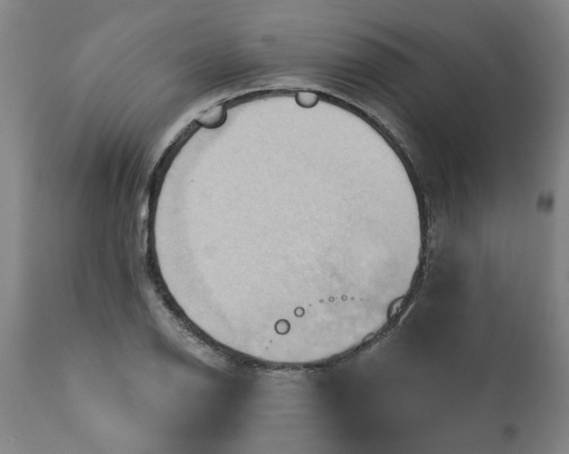 X0000110681126200906261315