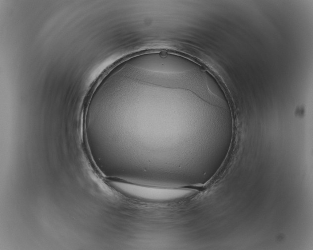 X0000110681127200906261315