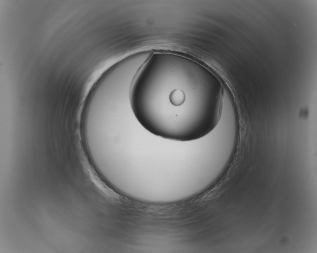 X0000110681128200906261315