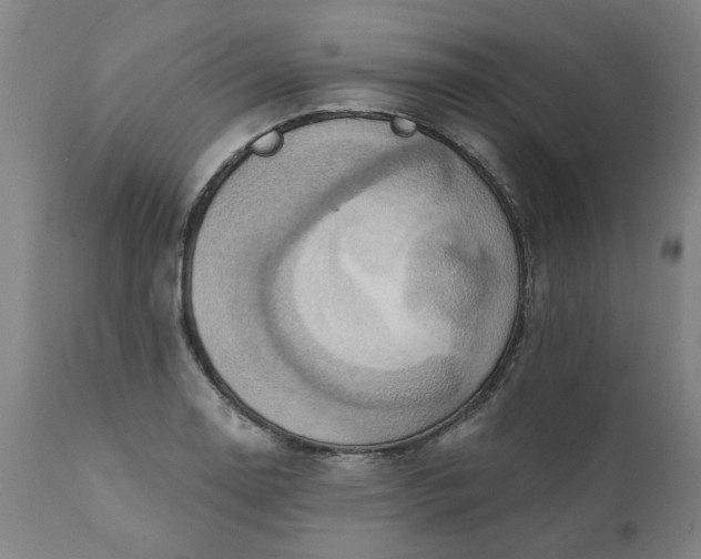 X0000110681130200906261315