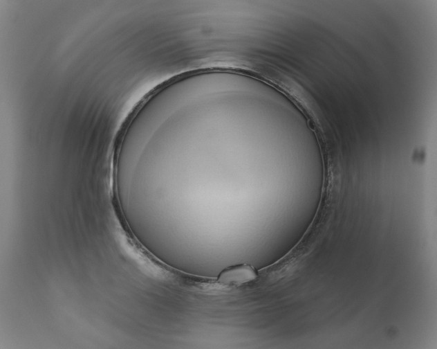 X0000110681132200906261315