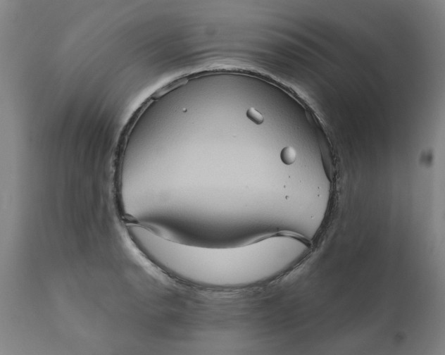 X0000110681134200906261315