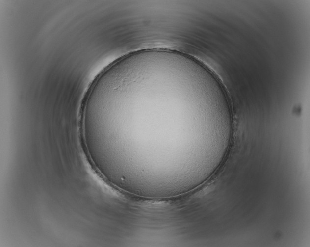 X0000110681135200906261315