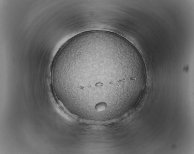 X0000110681136200906261315