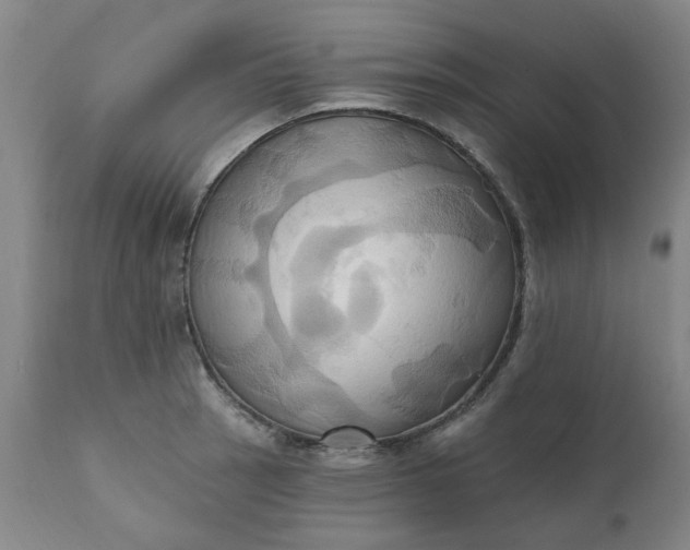 X0000110681137200906261315