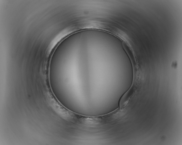 X0000110681138200906261315