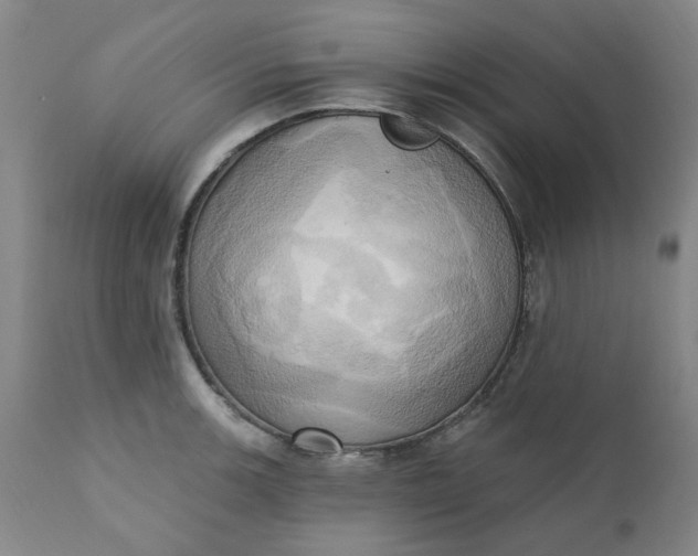 X0000110681139200906261315