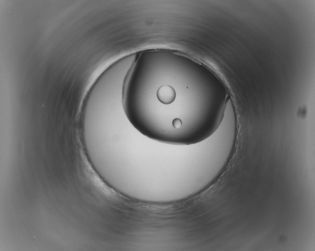 X0000110681140200906261315