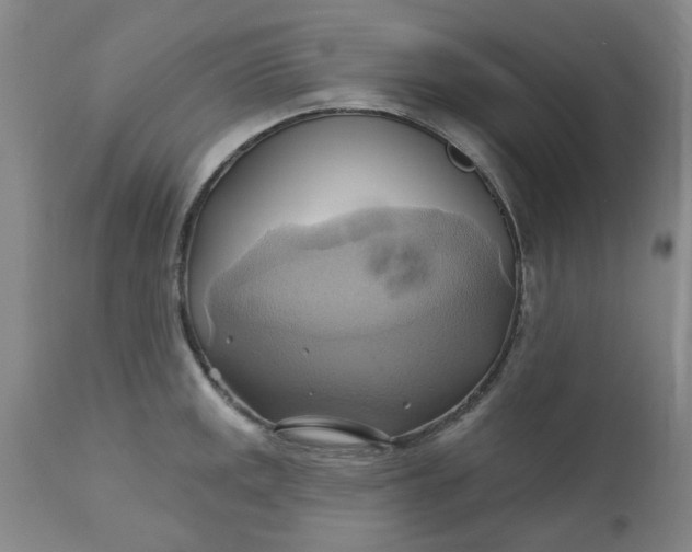 X0000110681141200906261315