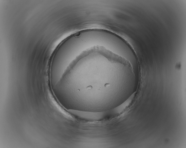 X0000110681142200906261315