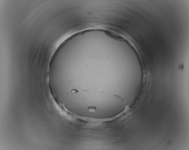 X0000110681143200906261315