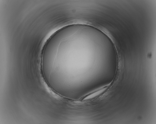 X0000110681144200906261315