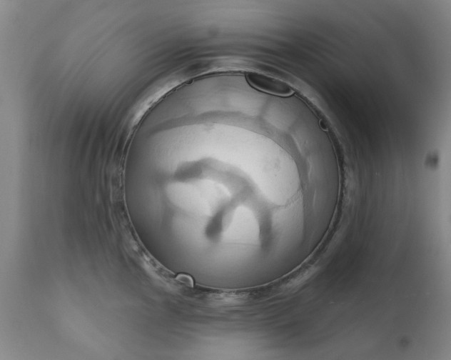 X0000110681145200906261315