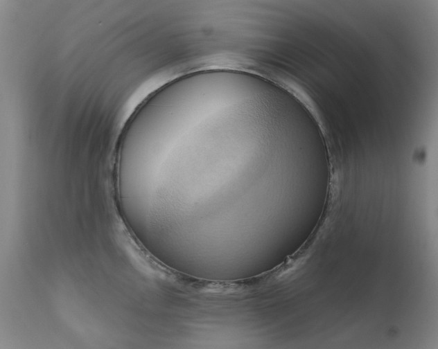 X0000110681146200906261315