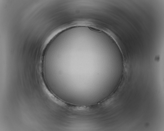 X0000110681147200906261315