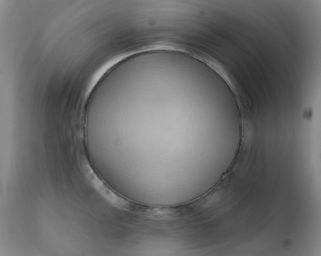 X0000110681148200906261315