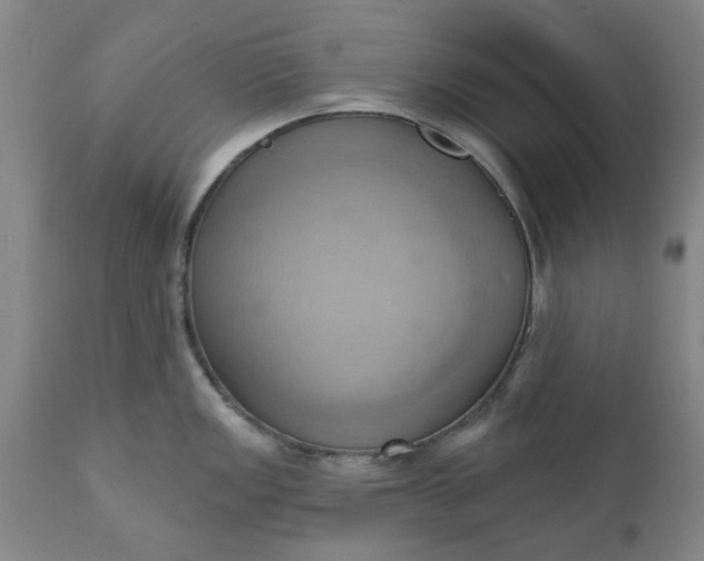 X0000110681149200906261315