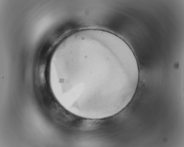 X0000110681150200906261315