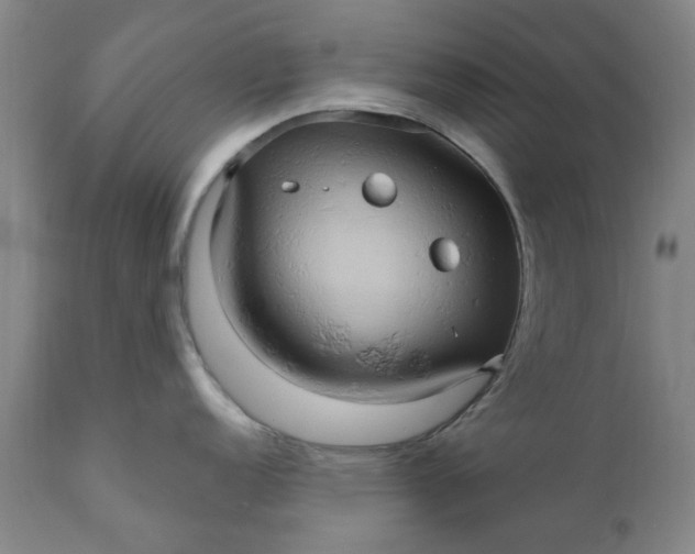 X0000110681152200906261315