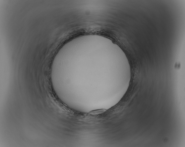 X0000110681153200906261314